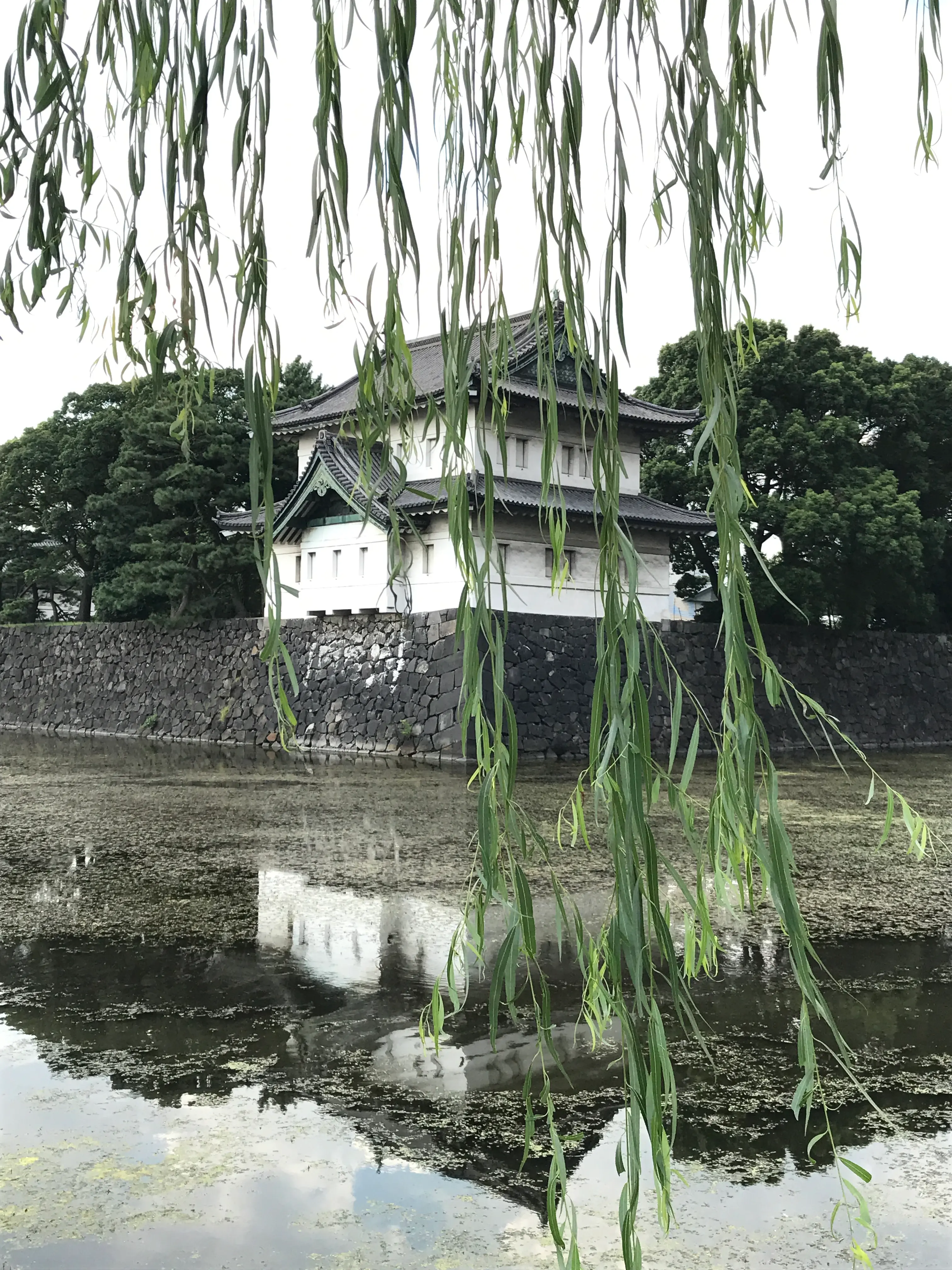 Luna de miel en Japón